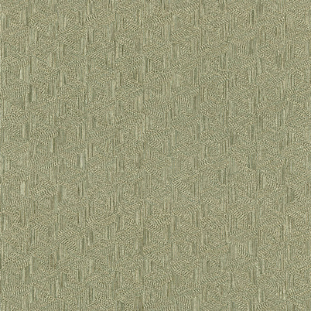 Lindu - Kaki