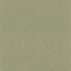 Lindu - Kaki
