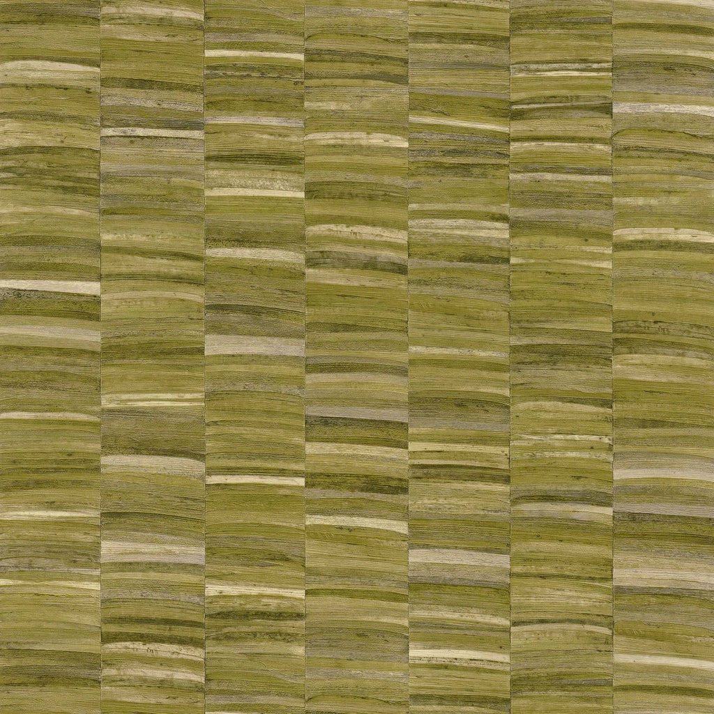 Stylosa - Olive