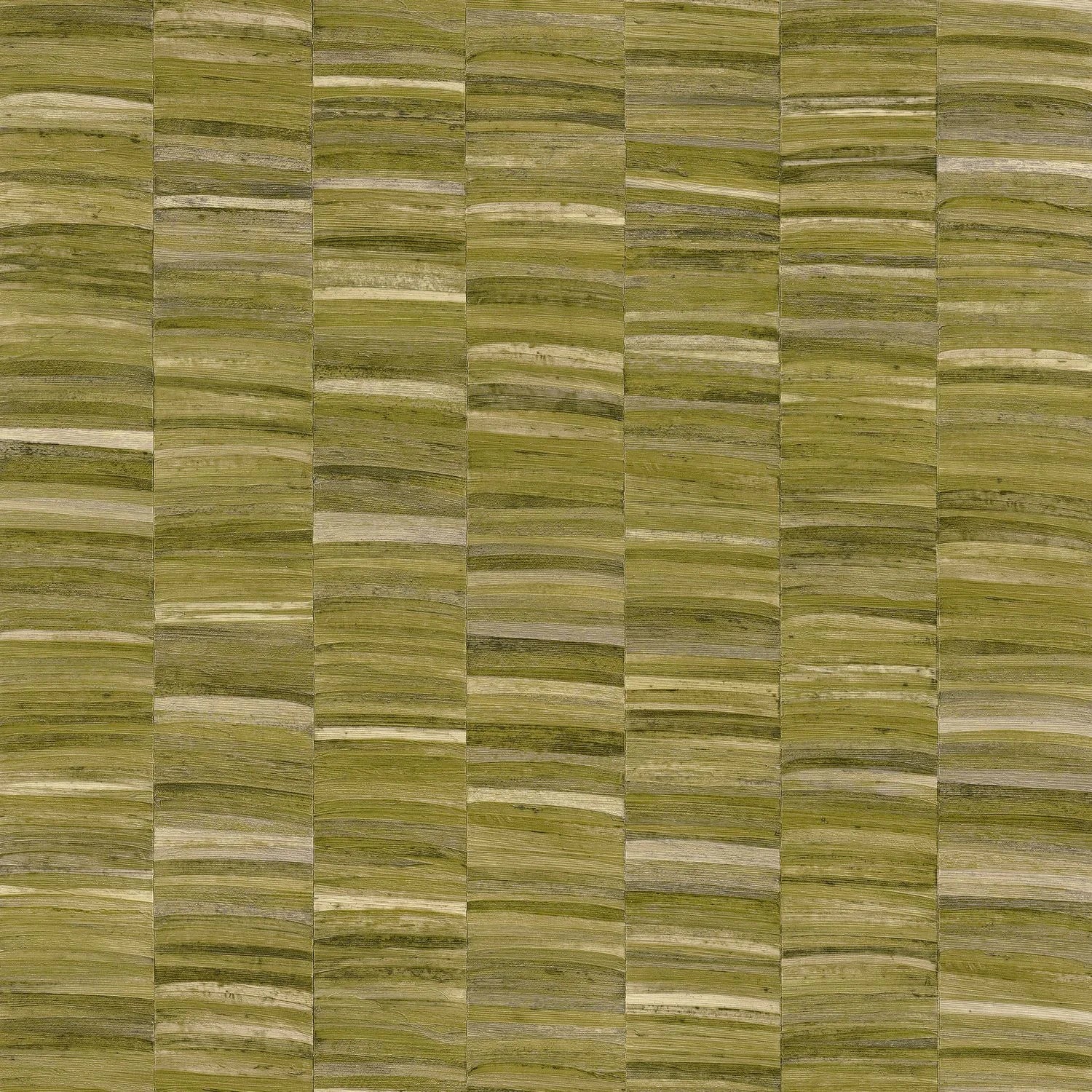Stylosa - Olive