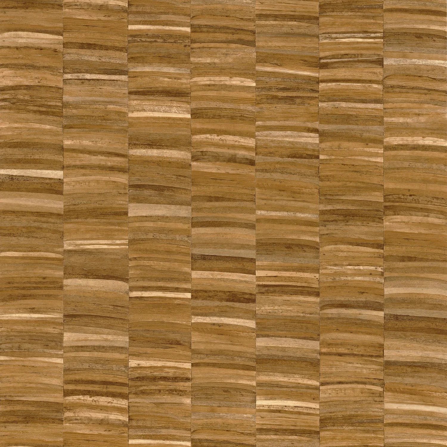 Stylosa - Ocre
