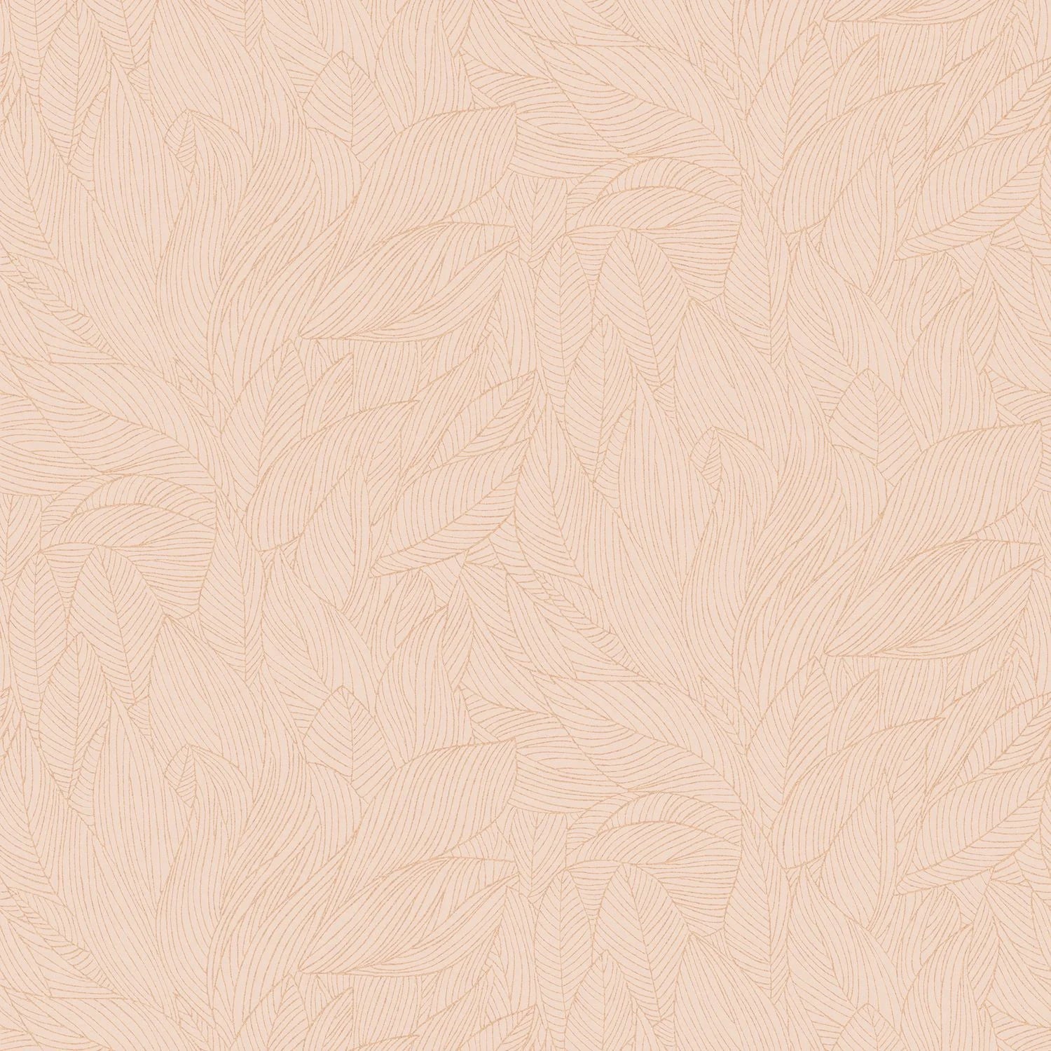 Hosta - Rose Poudré/Doré