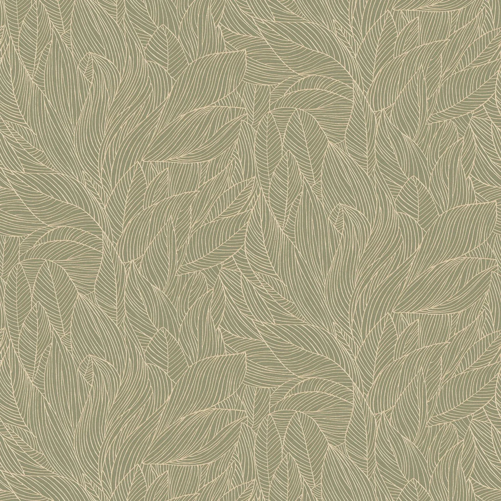 Hosta - Sauge/Doré