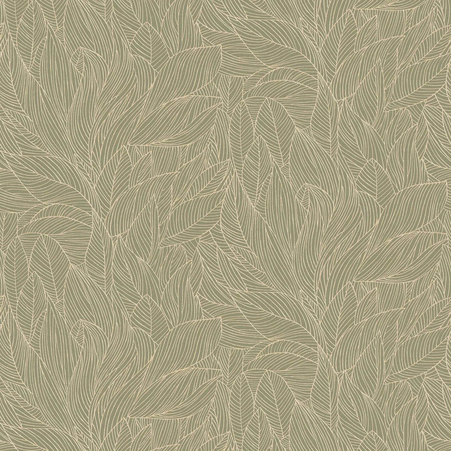 Hosta - Sauge/Doré