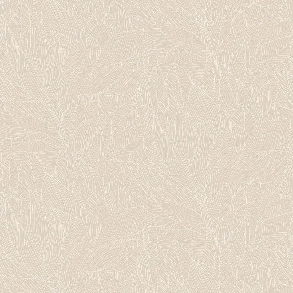 Hosta - Marron Glacé/Nacré