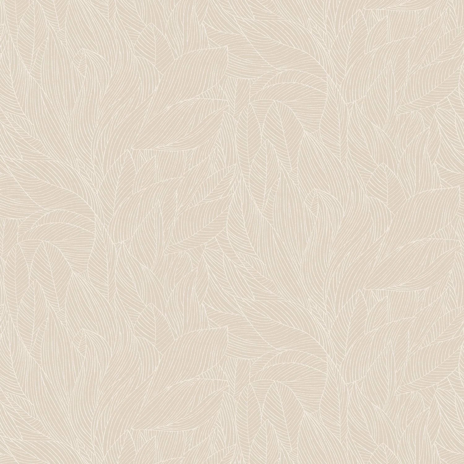 Hosta - Marron Glacé/Nacré