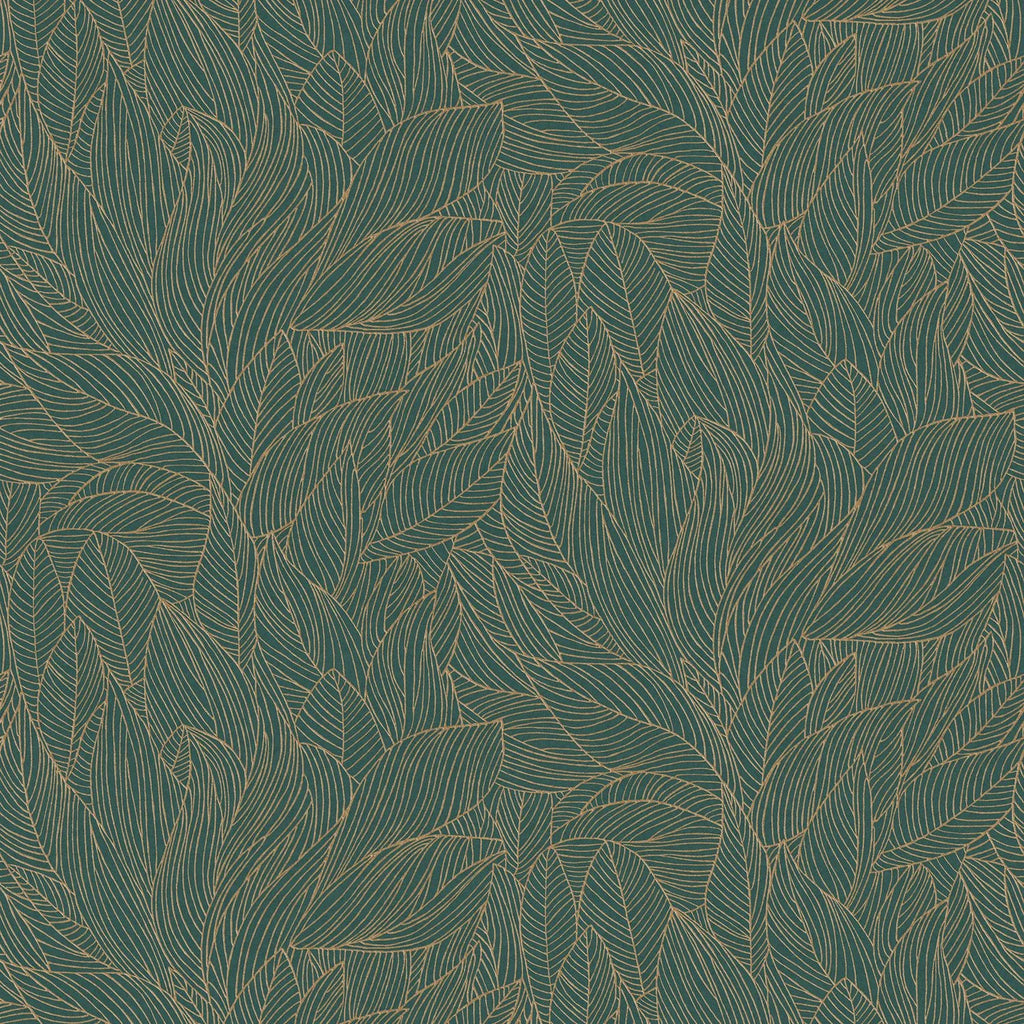 Hosta - Jaspe/Doré
