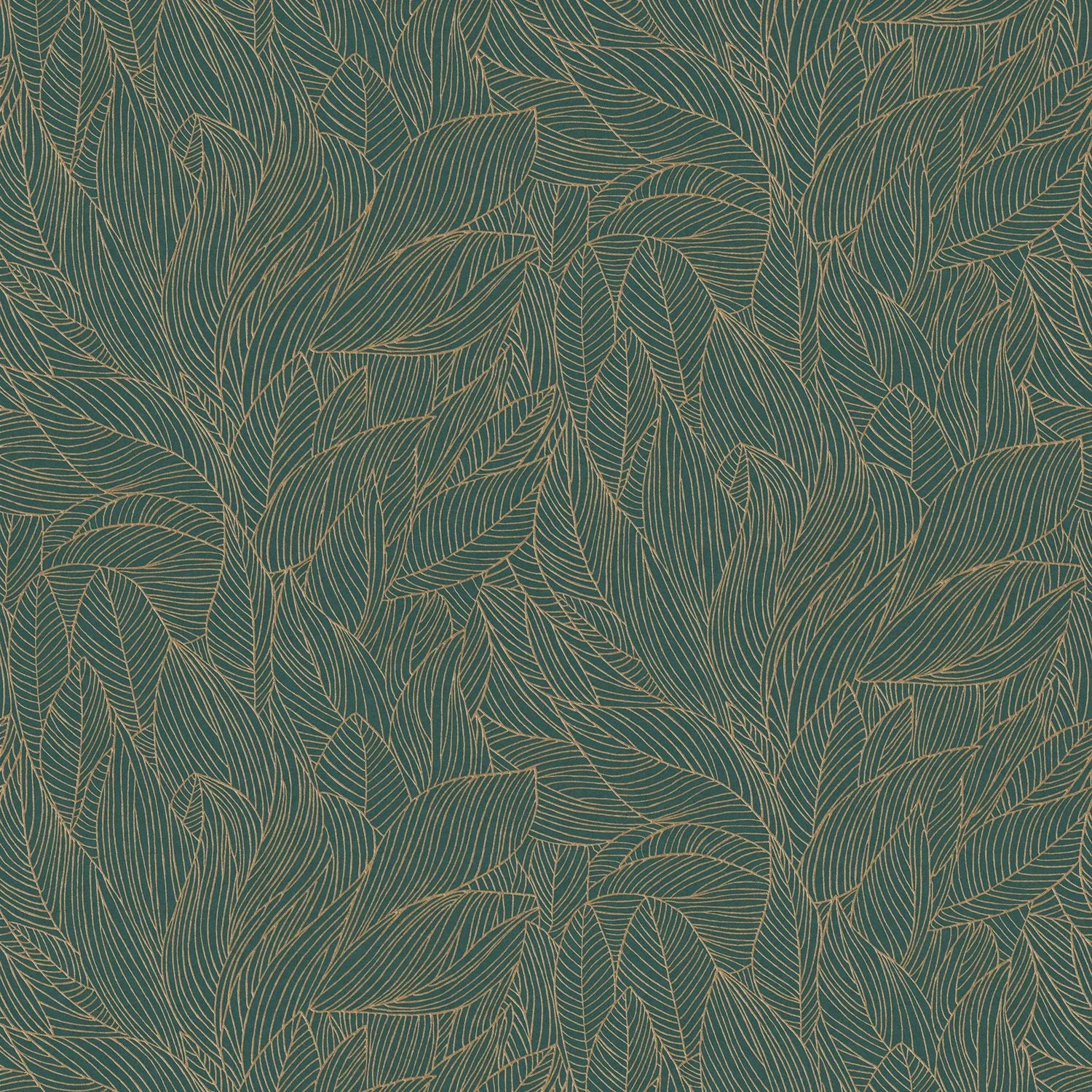 Hosta - Jaspe/Doré