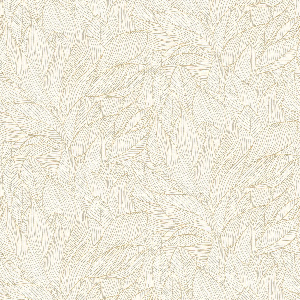 Hosta - Ivoire/Doré