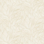 Hosta - Ivoire/Doré