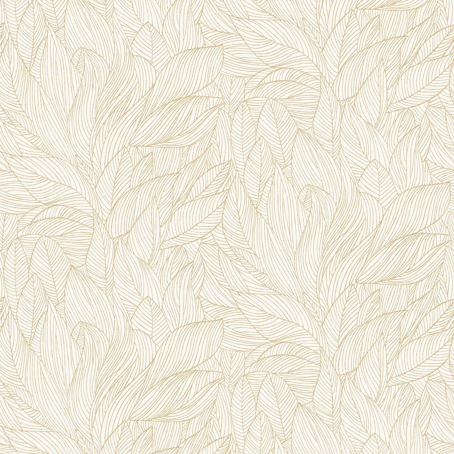 Hosta - Ivoire/Doré
