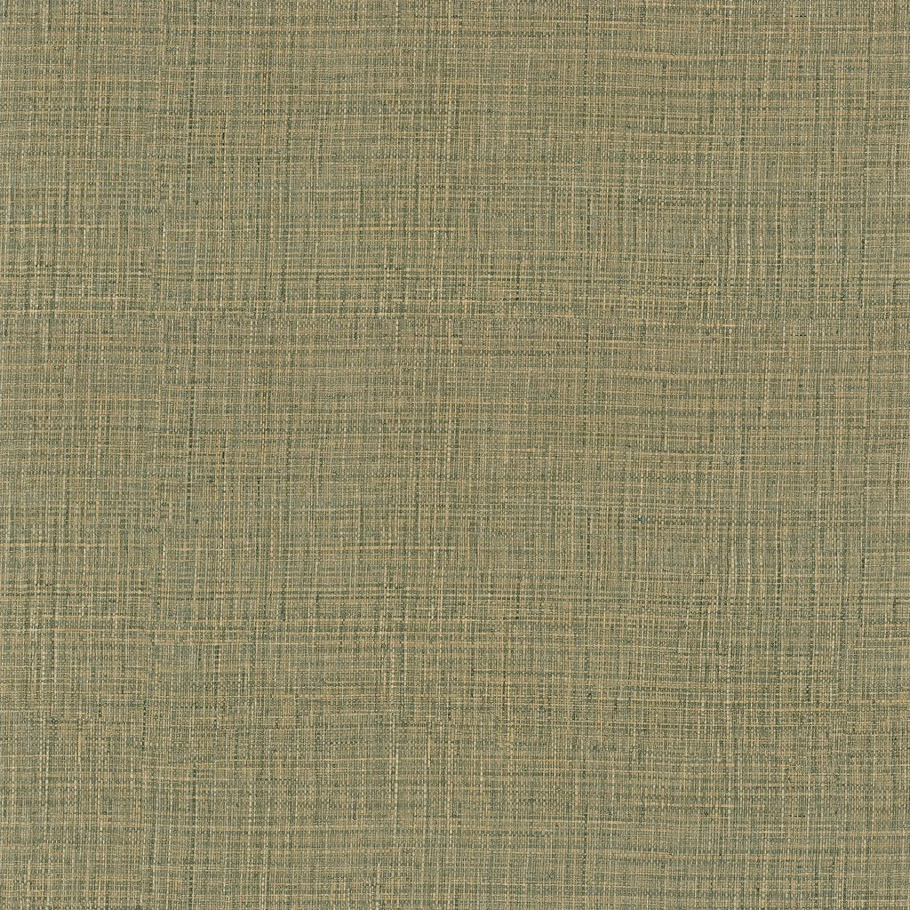 Sierra - Kaki