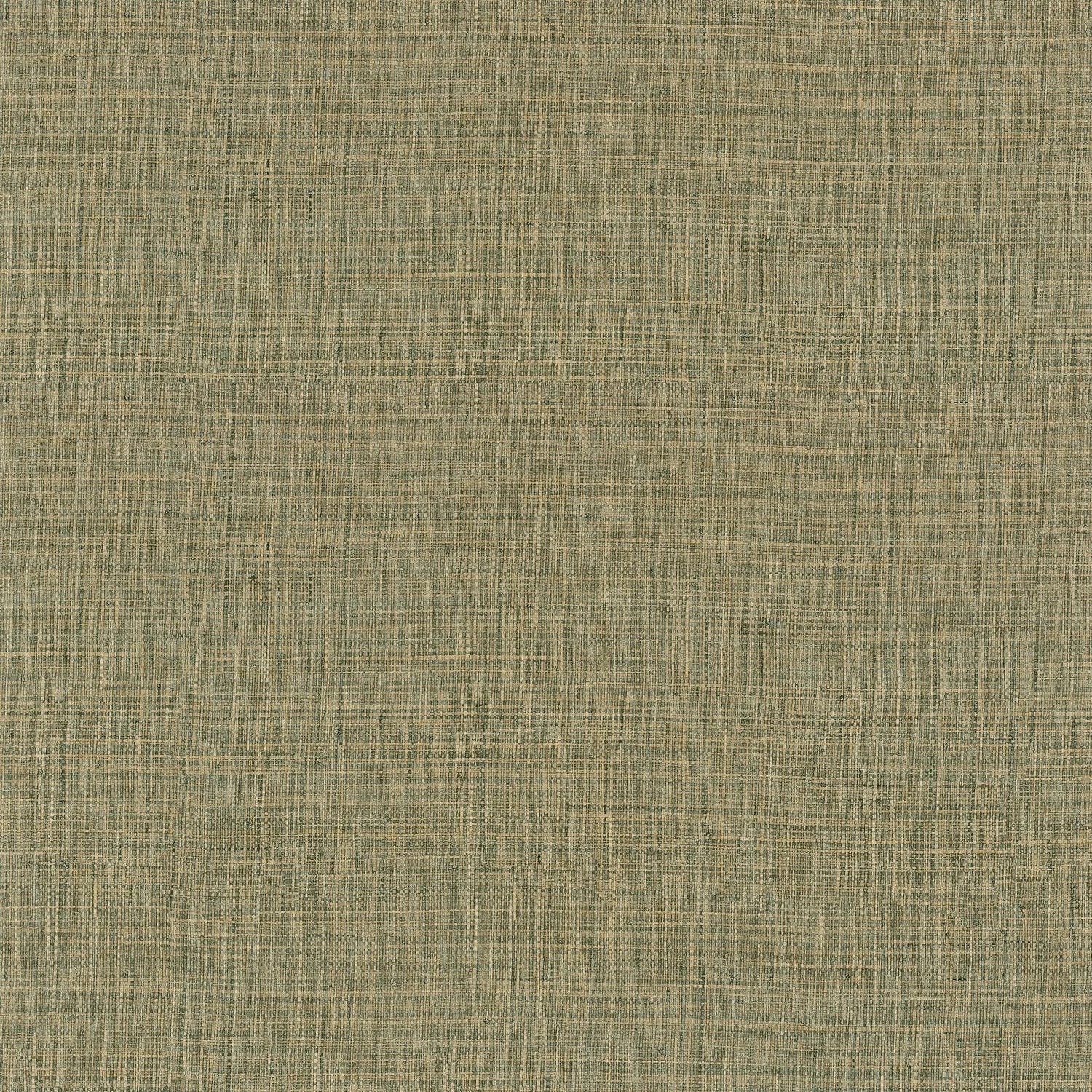 Sierra - Kaki