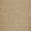 Berenice - Taupe/Doré