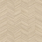 Ocotea - Coquille