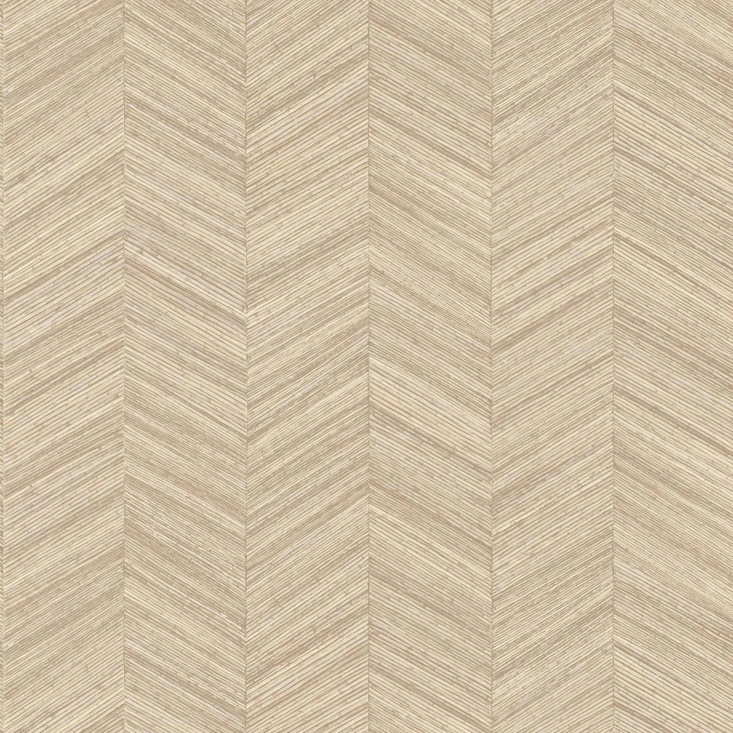 Ocotea - Coquille