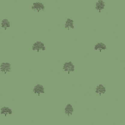 Arboretet Swedish Trees - Wallpaper Trader