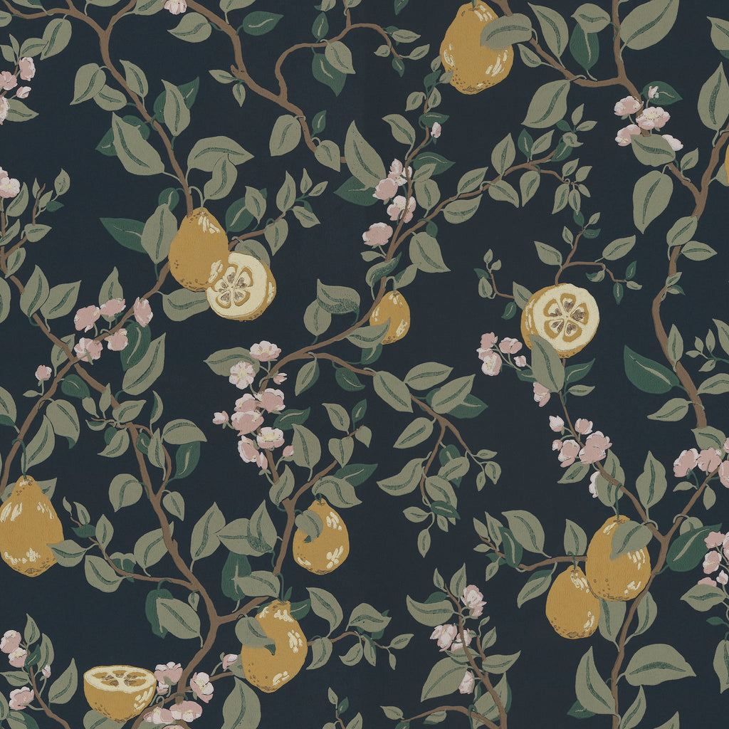 Kvitten wallpaper by Sandberg, golden quinces and pink blossom on trailing branches over a deep navy ground, flat roll swatch