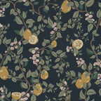 Kvitten wallpaper by Sandberg, golden quinces and pink blossom on trailing branches over a deep navy ground, flat roll swatch