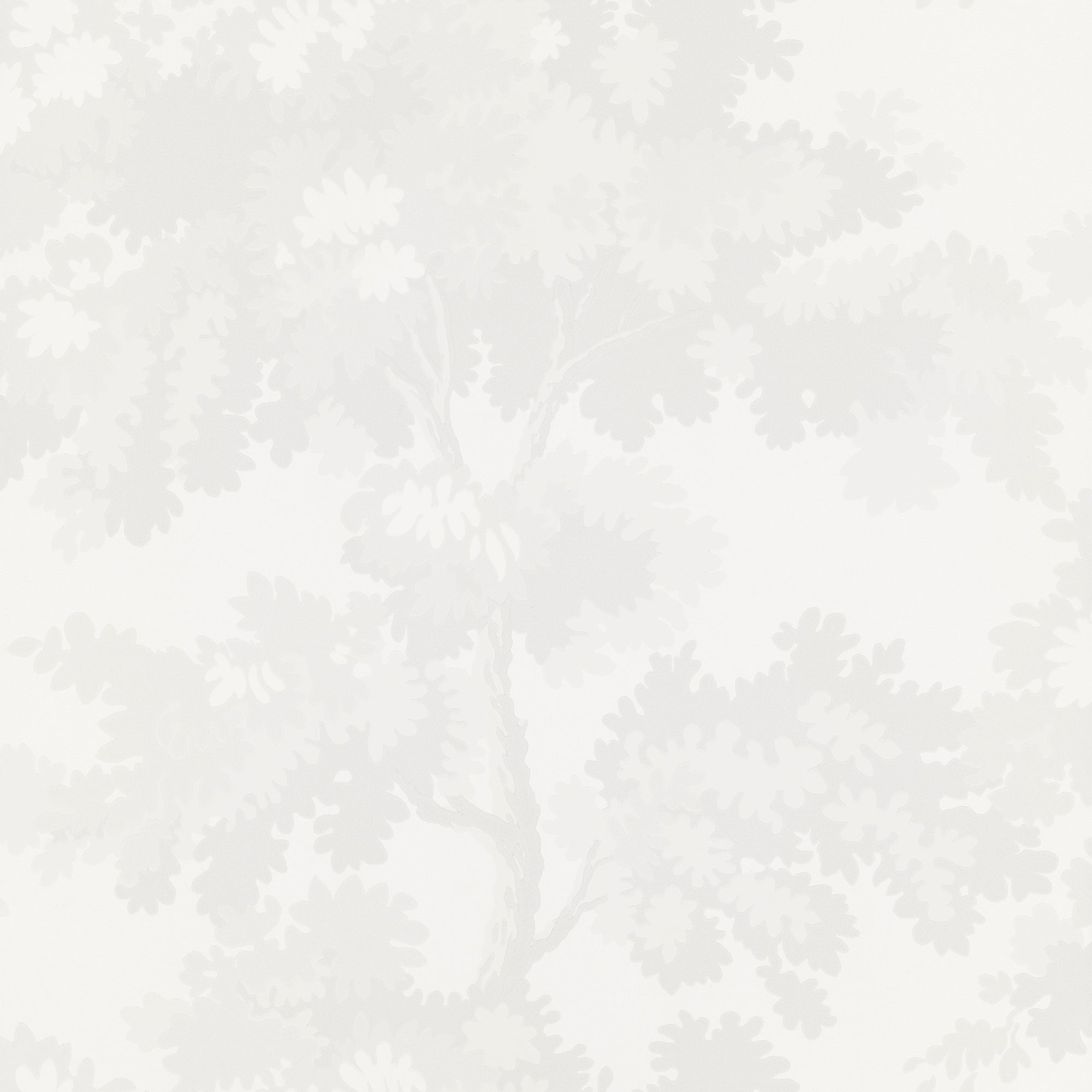 Raphael wallpaper by Sandberg, tonal white oak-tree print, flat swatch in soft ivory
