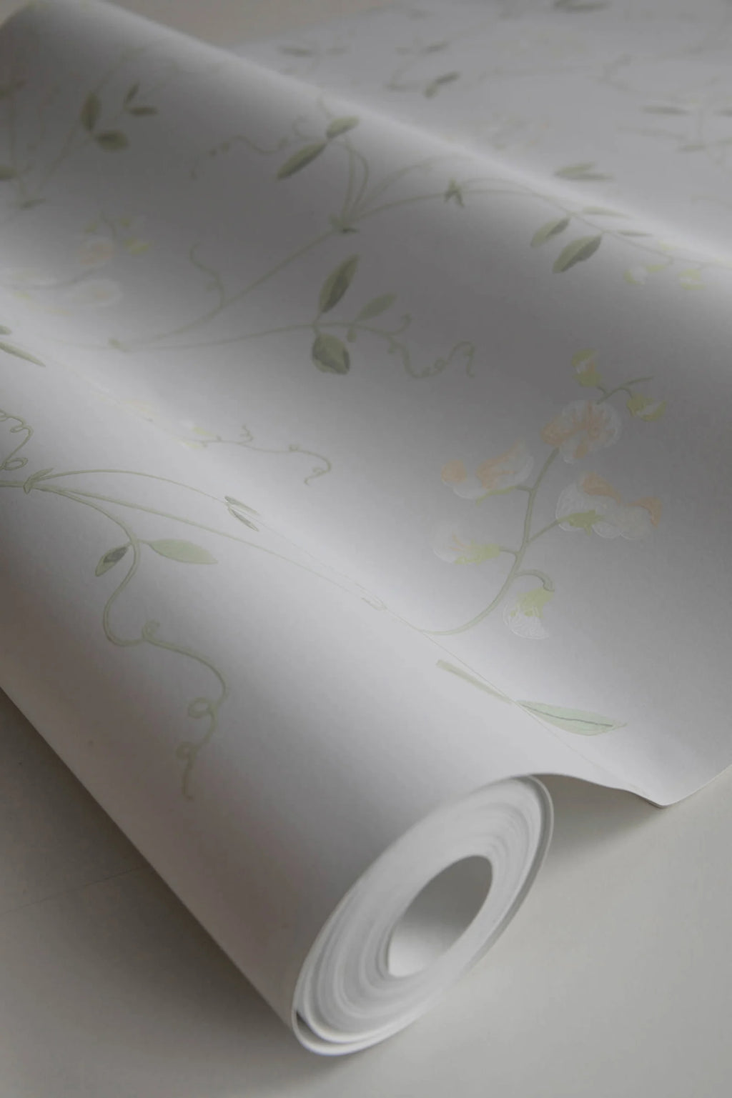 Sanna Sweet Pea wallpaper by Sandberg, close-up of a part-rolled roll showing the delicate cream sweet pea vines
