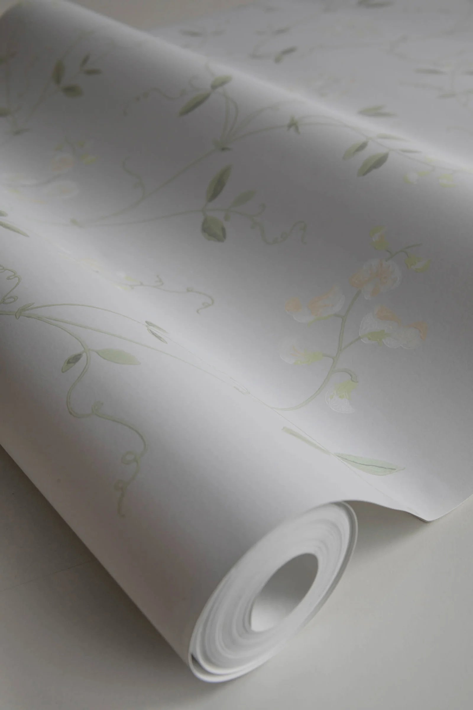 Sanna Sweet Pea wallpaper by Sandberg, close-up of a part-rolled roll showing the delicate cream sweet pea vines