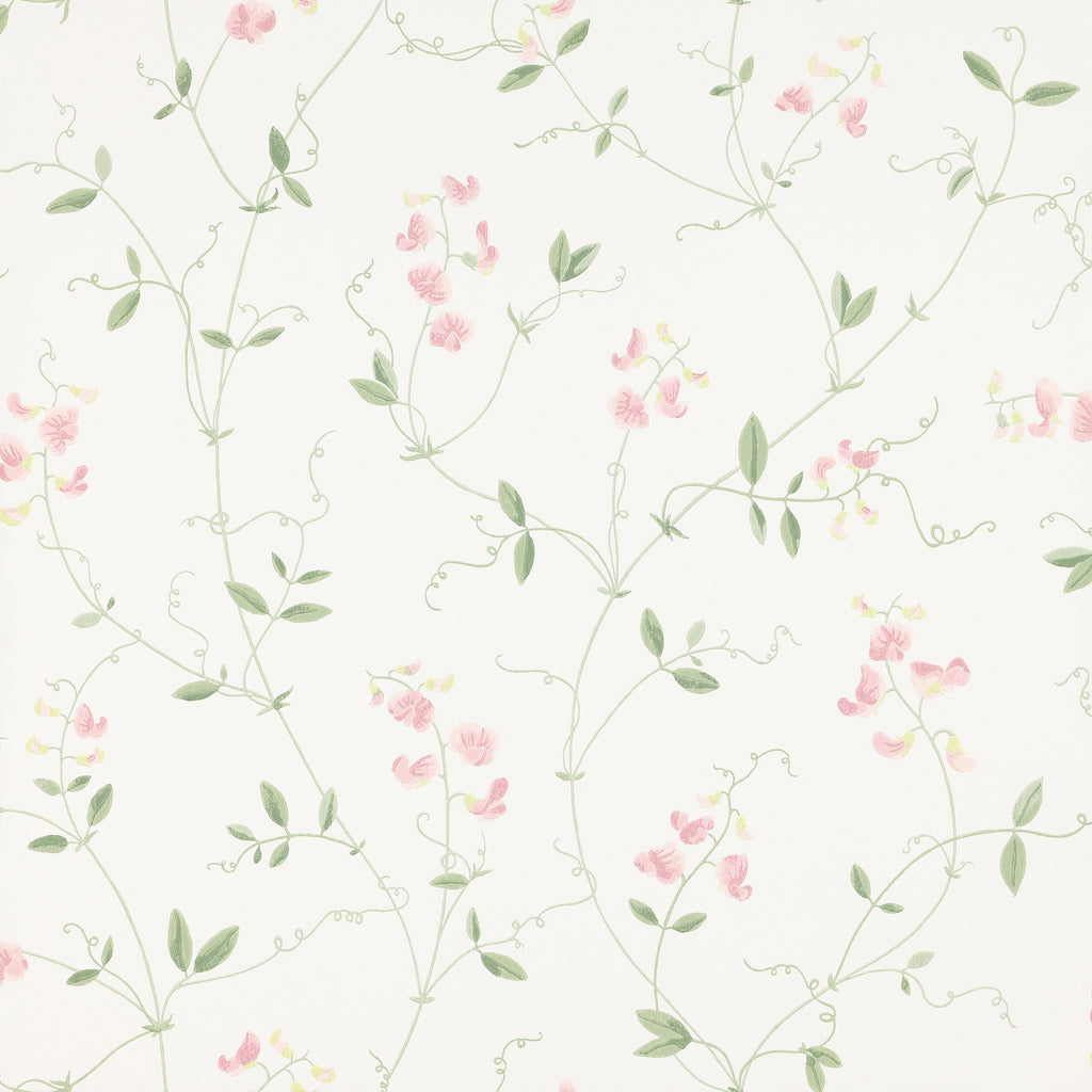 Sanna Sweet Pea wallpaper by Sandberg, white ground with pink blooms and green trailing vines, flat swatch