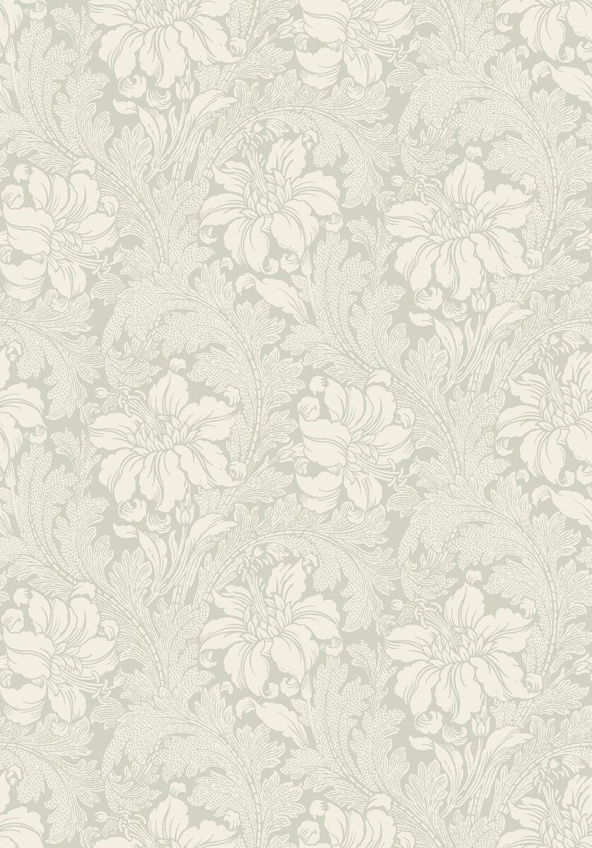 Acanthus - Wallpaper Trader