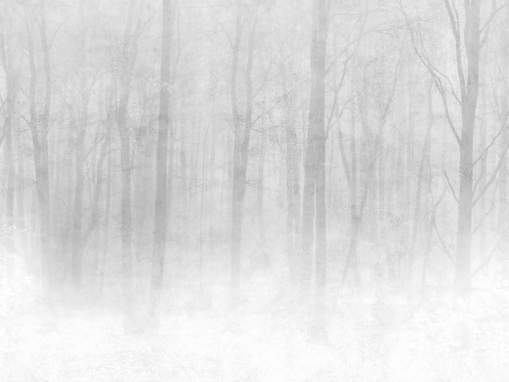 Vinterskog wall mural by Sandberg – forest & woodland design, Grey