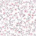Sakura Cherry Blossom wallpaper by Sandberg, flat swatch of pink watercolour cherry blossom branches on white
