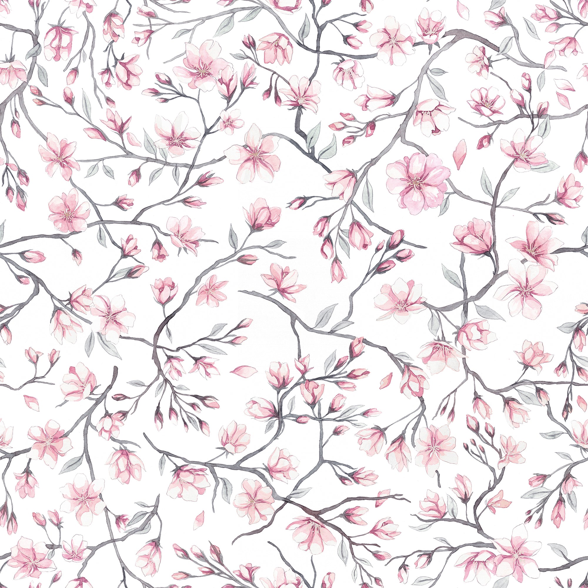Sakura Cherry Blossom wallpaper by Sandberg, flat swatch of pink watercolour cherry blossom branches on white