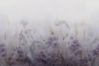 Vilda wall mural by Sandberg – floral design, Pink – Dawn