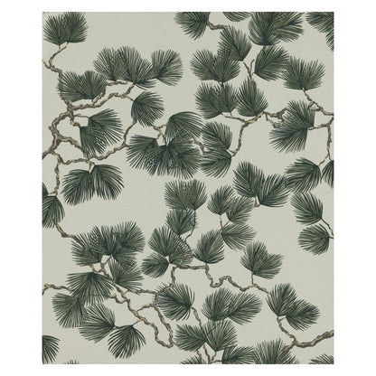 Pine - Wallpaper Trader