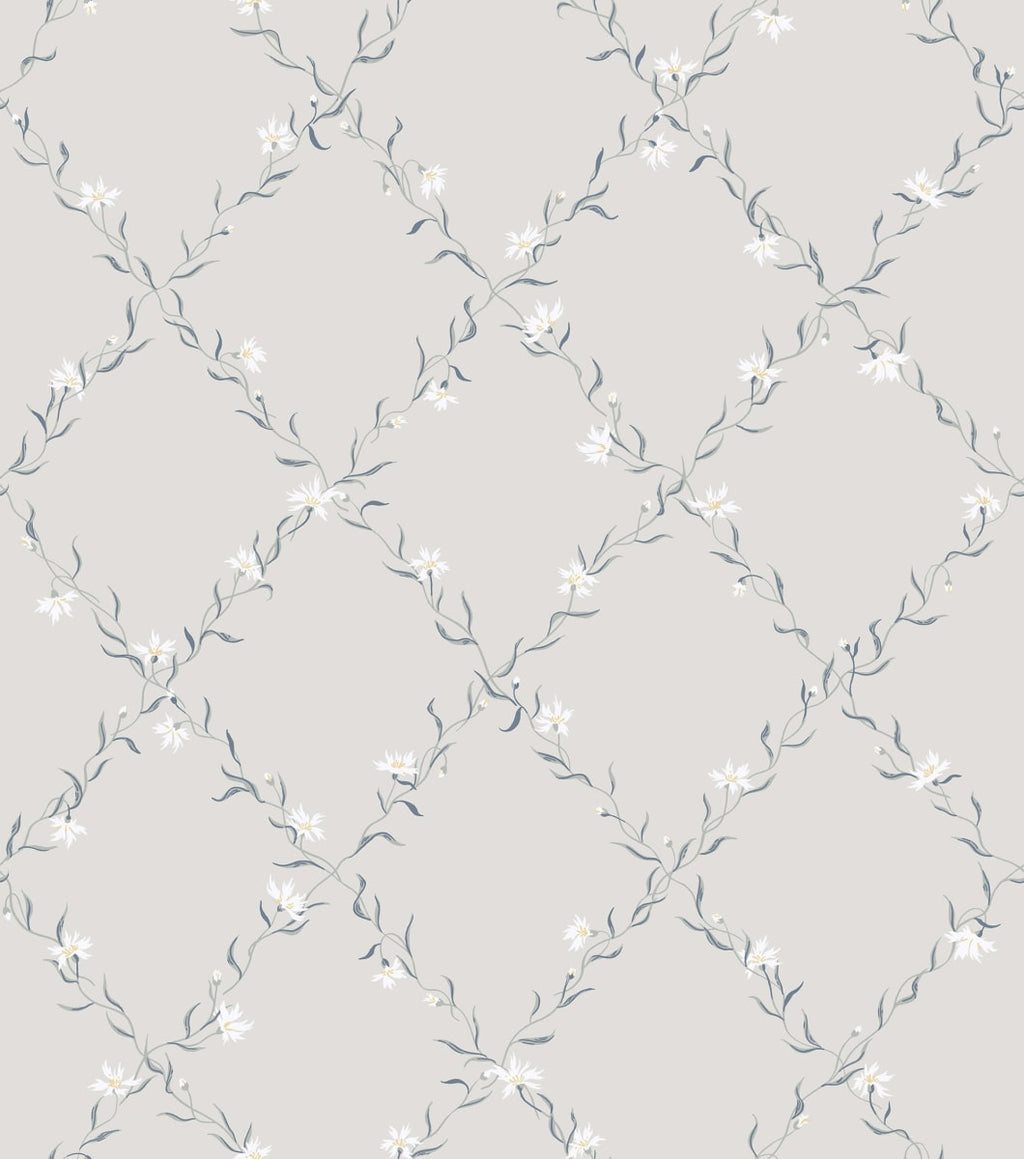 Ewa - Wallpaper Trader