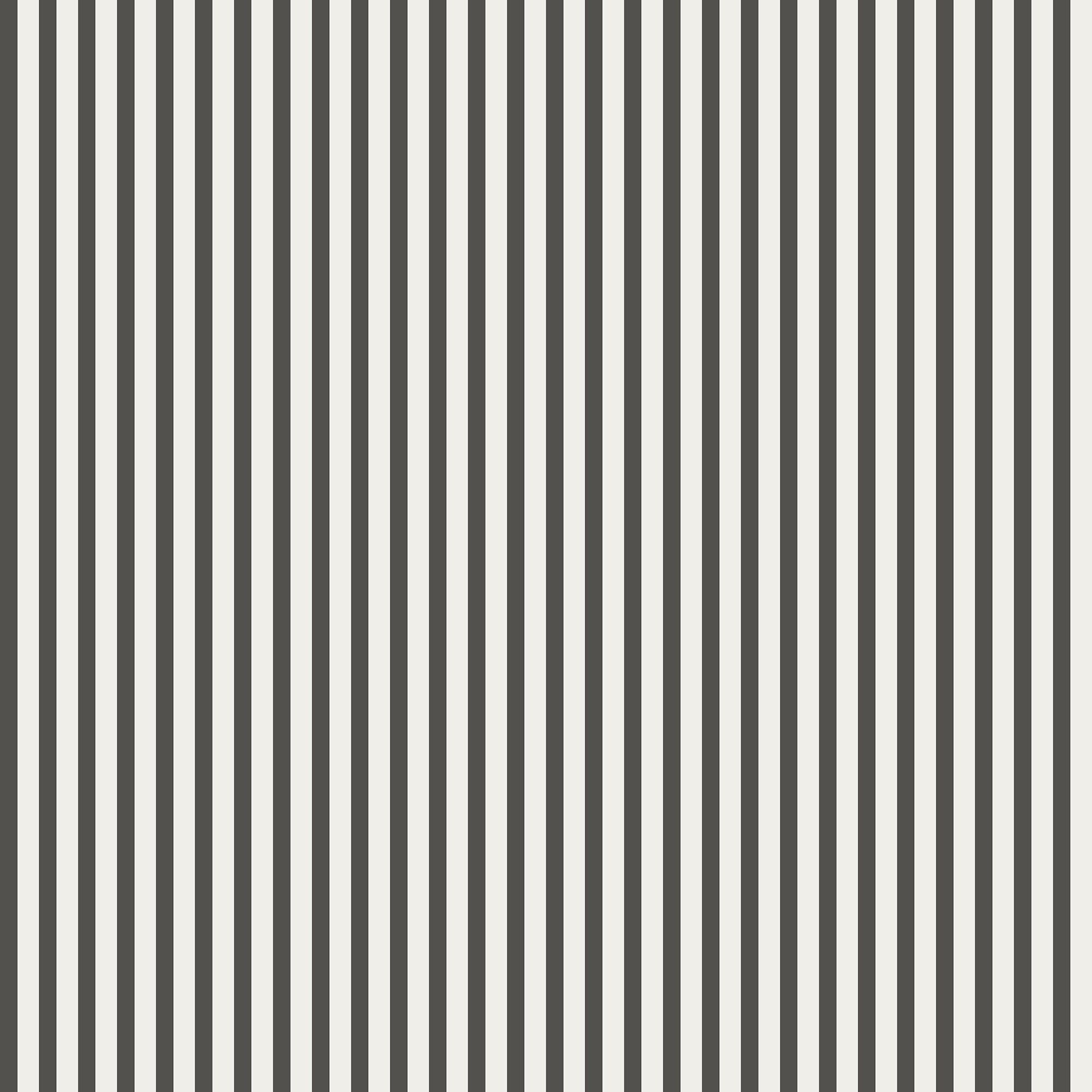 Estelle wallpaper by Sandberg in a crisp charcoal and white vertical stripe, flat roll swatch