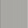Estelle wallpaper by Sandberg in a crisp charcoal and white vertical stripe, flat roll swatch