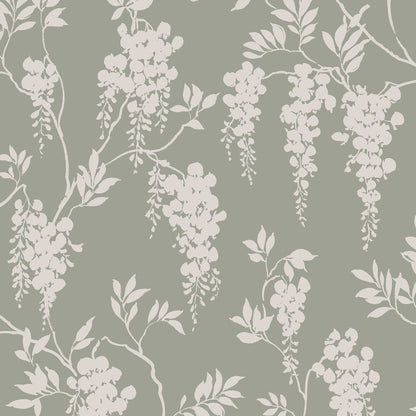 Hedvig Wisteria - Wallpaper Trader