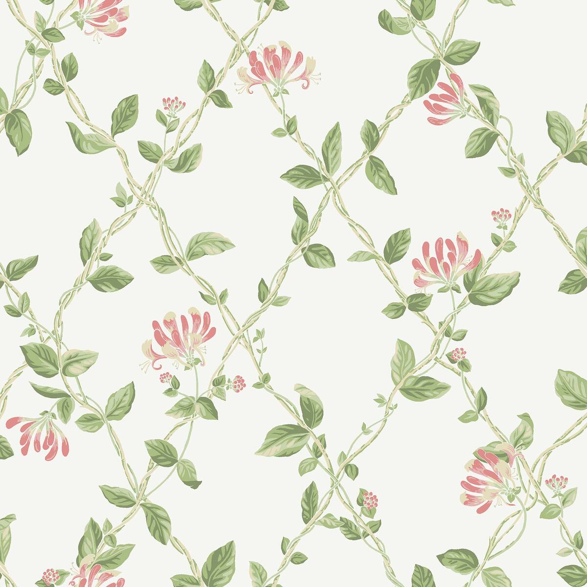 Honeysuckle - Wallpaper Trader