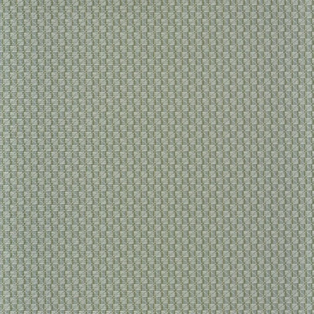 Trenza - Vert De Gris