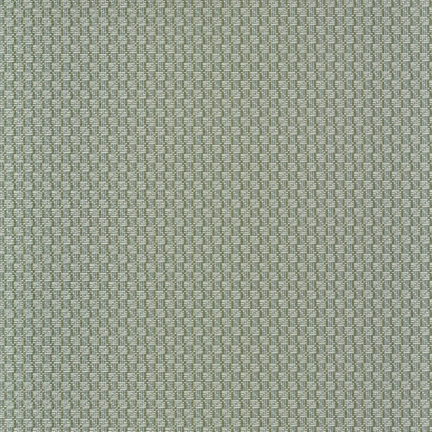 Trenza - Vert De Gris