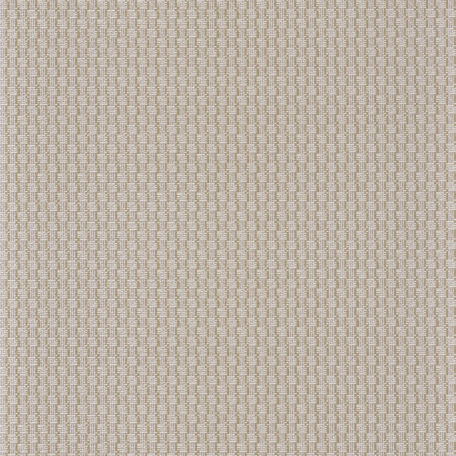 Trenza - Sable