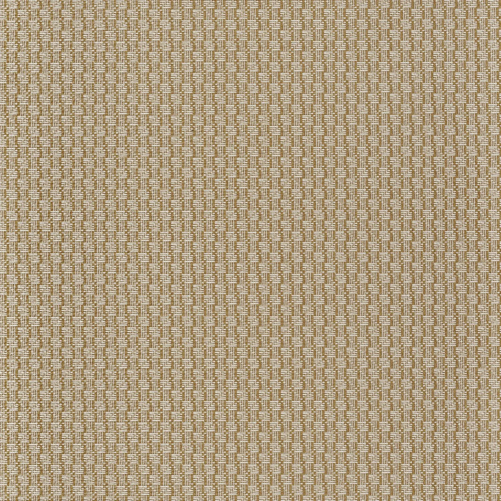 Trenza - Ficelle