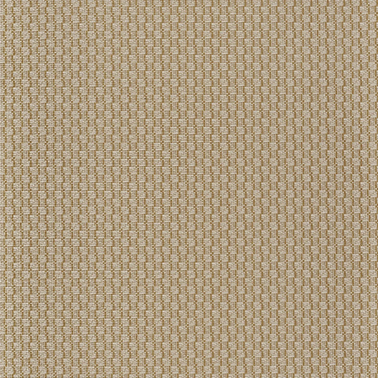 Trenza - Ficelle