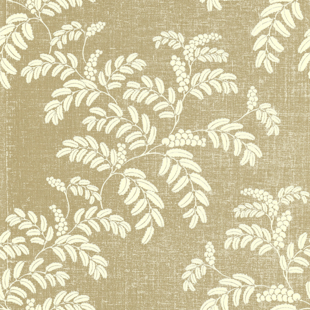 Acacia wallpaper by Långelid/von Brömssen in Beige – botanical design