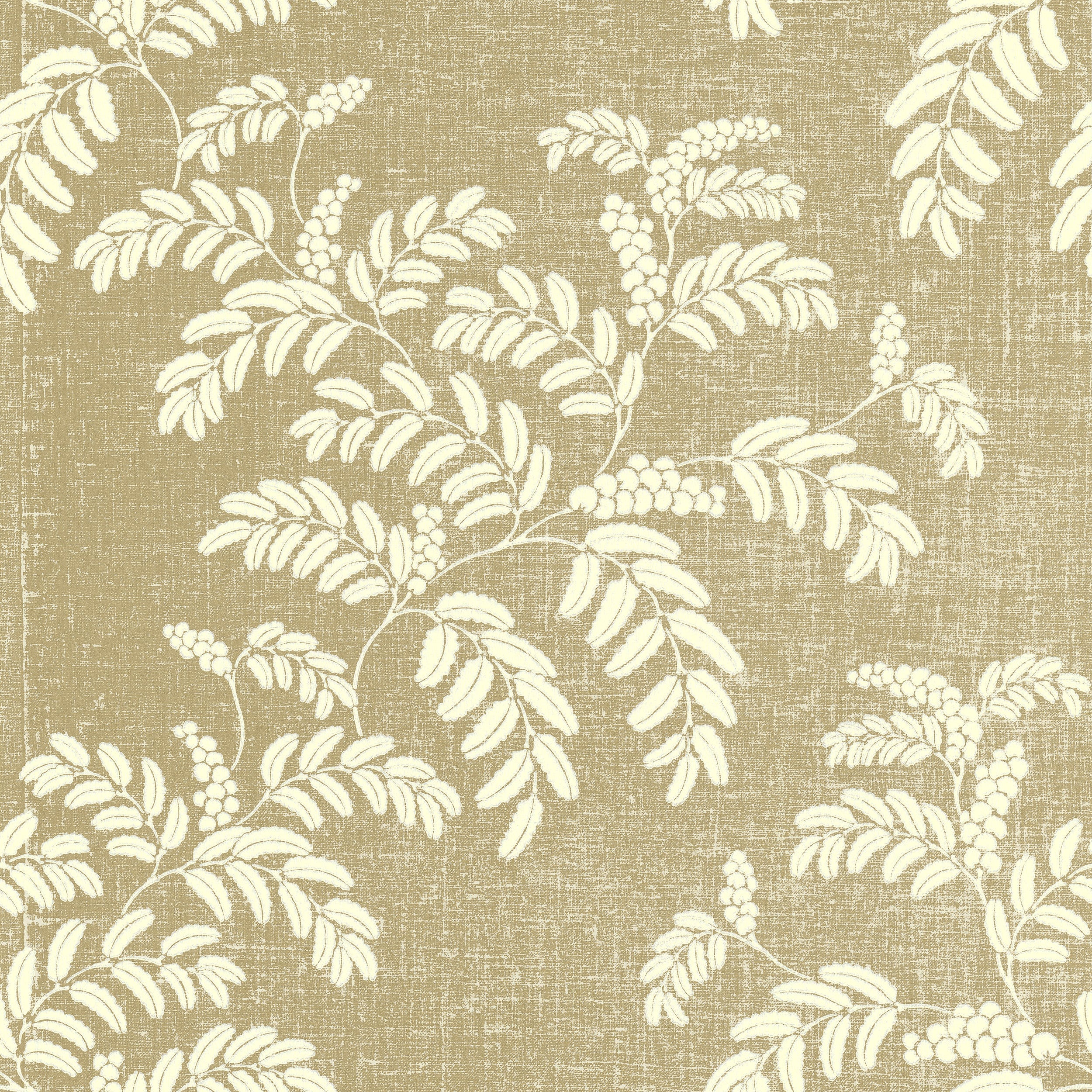 Acacia wallpaper by Långelid/von Brömssen in Beige – botanical design