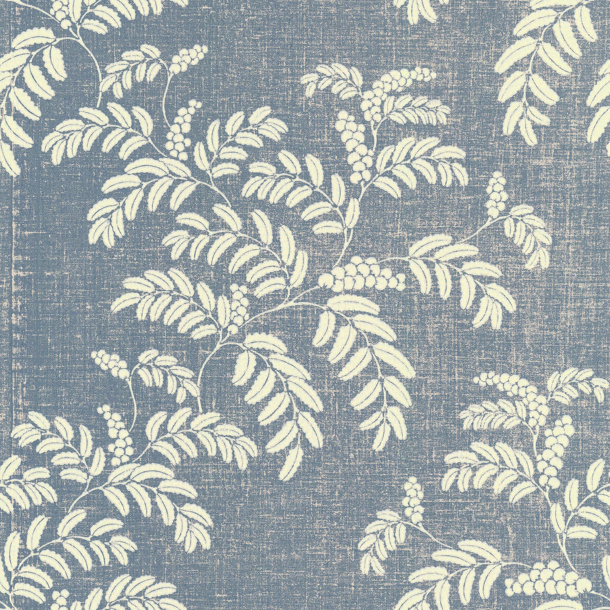 Acacia wallpaper by Långelid/von Brömssen in Blue – botanical design