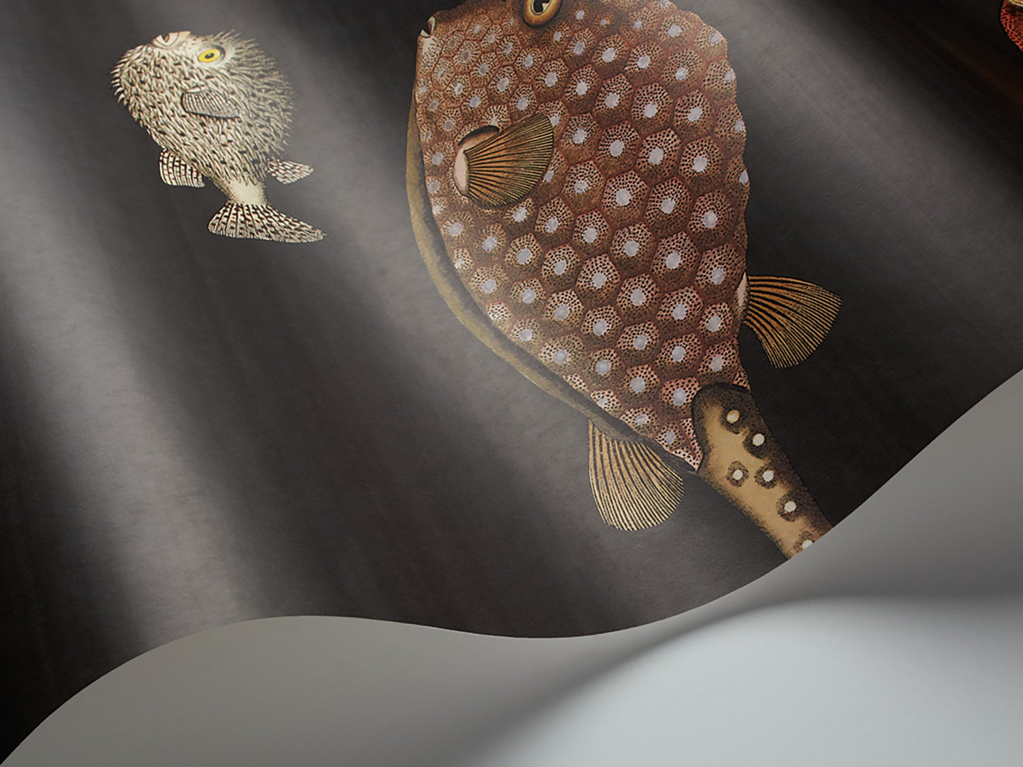 Acquario Fish - Wallpaper Trader