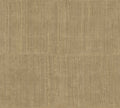 Katan Silk wallpaper by Arte in Beige – Peanut – flat swatch of the silk texture pattern