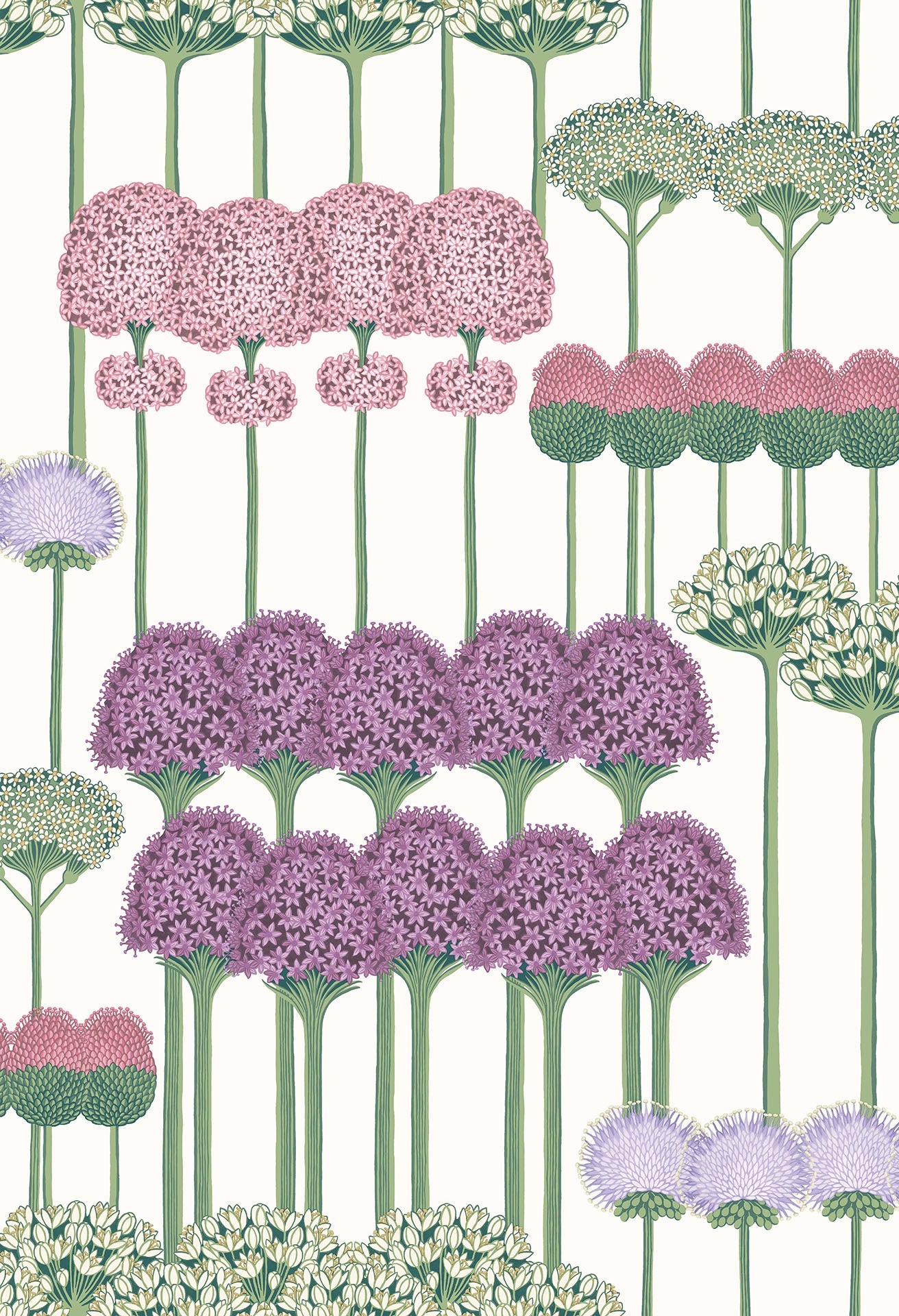 Allium - Wallpaper Trader