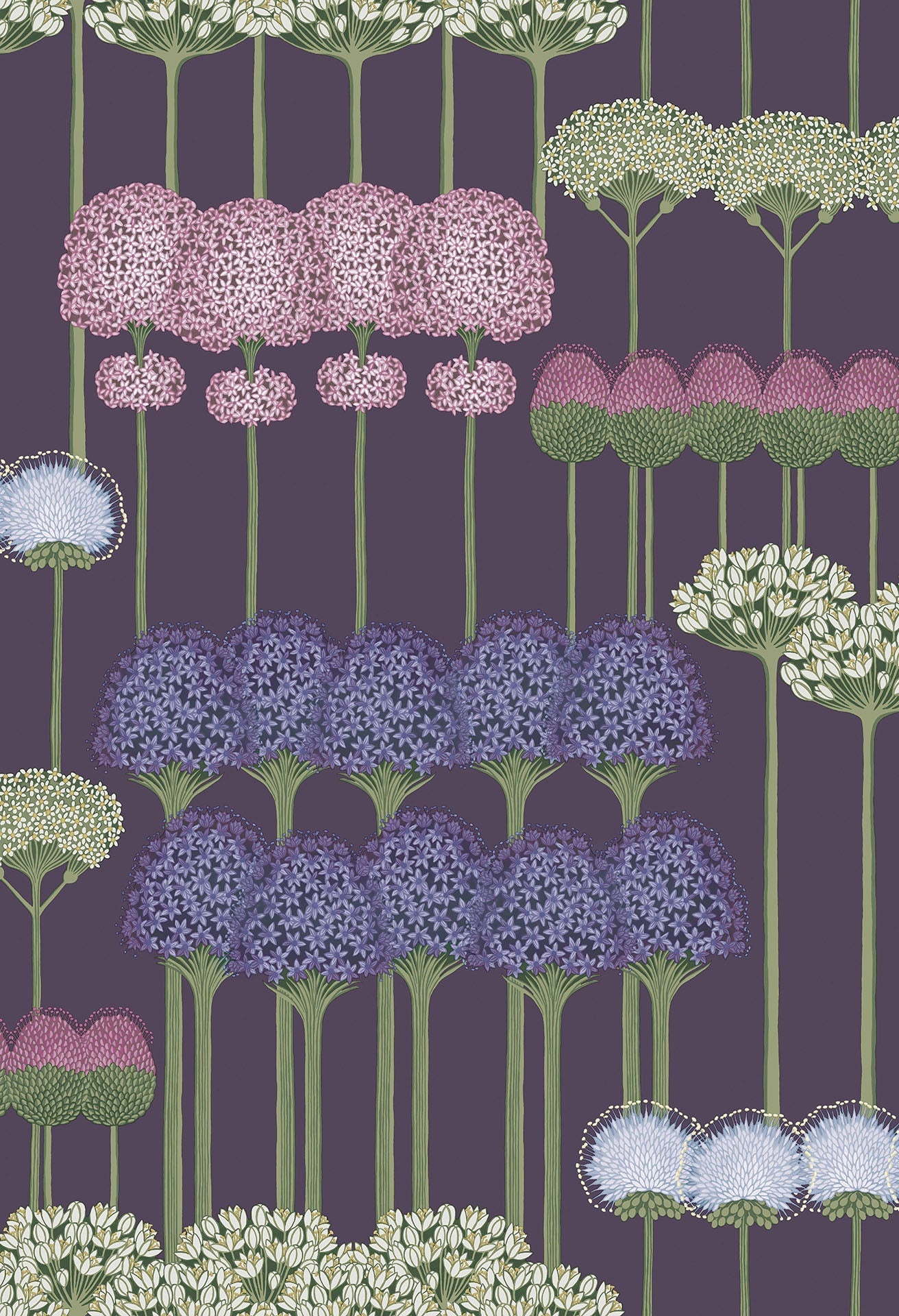 Allium - Wallpaper Trader